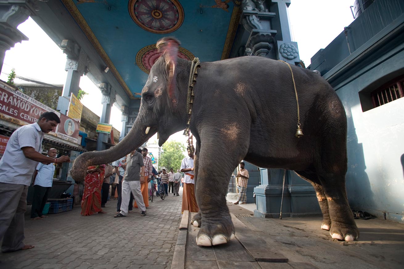 inde-img27 inde-img27