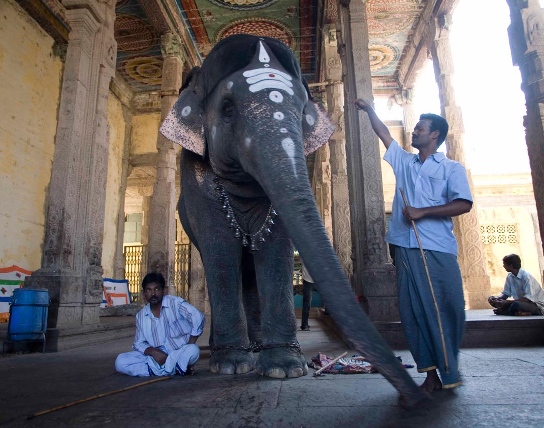 inde-img28 inde-img28