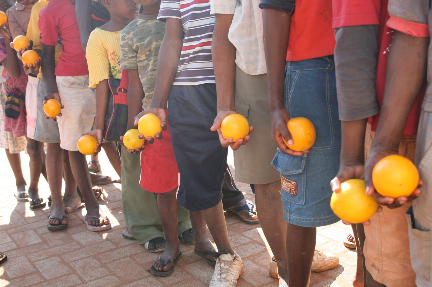 Mozambique- ONG Mozambique- ONG