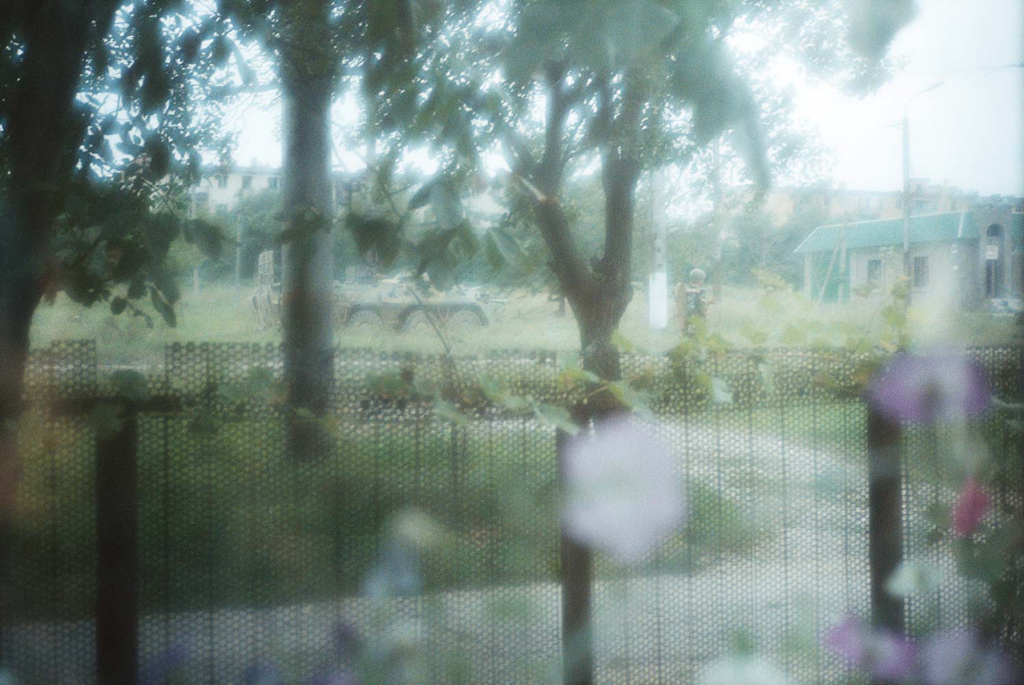 tchetchenie-img20 tchetchenie-img20