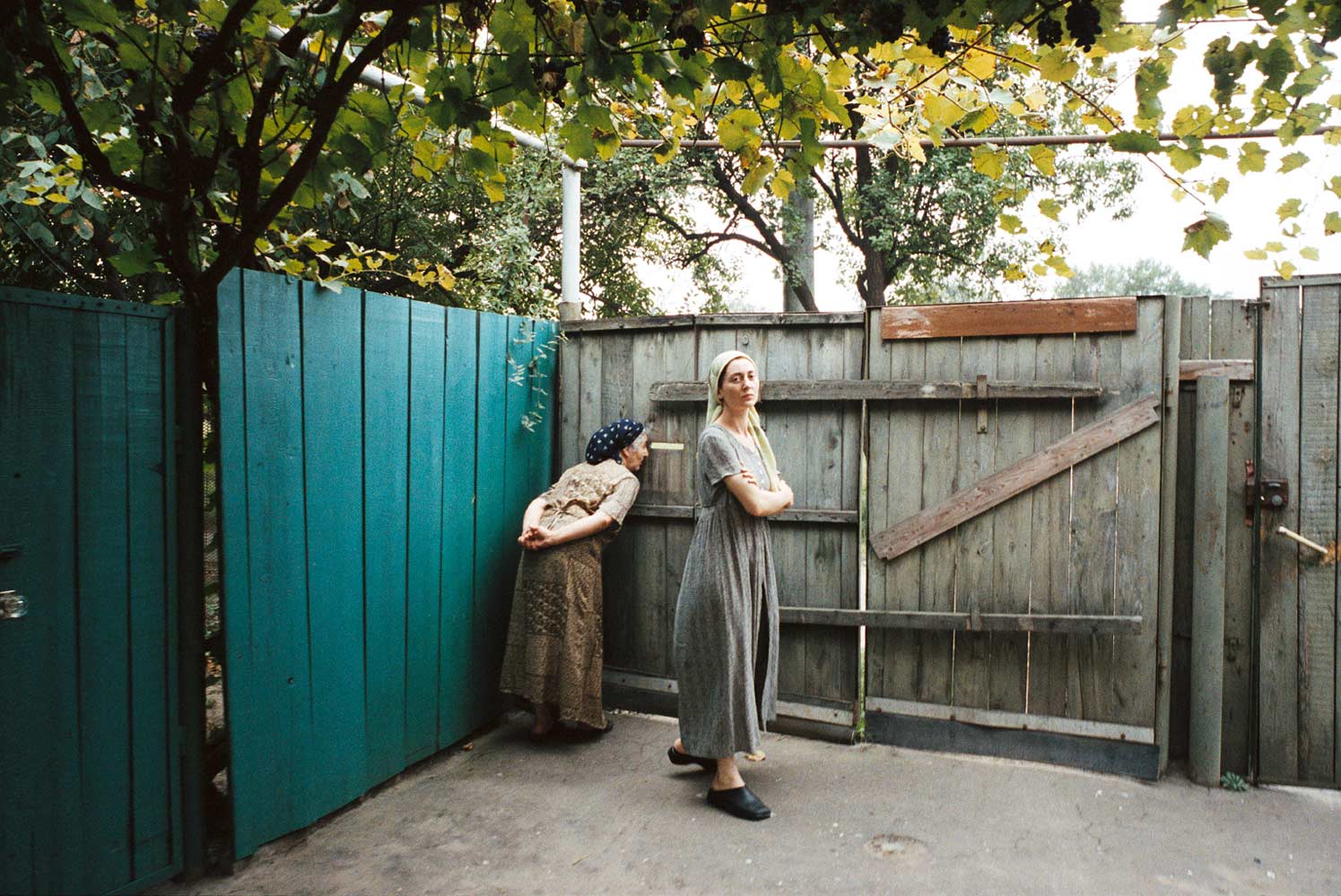 tchetchenie-img22 tchetchenie-img22