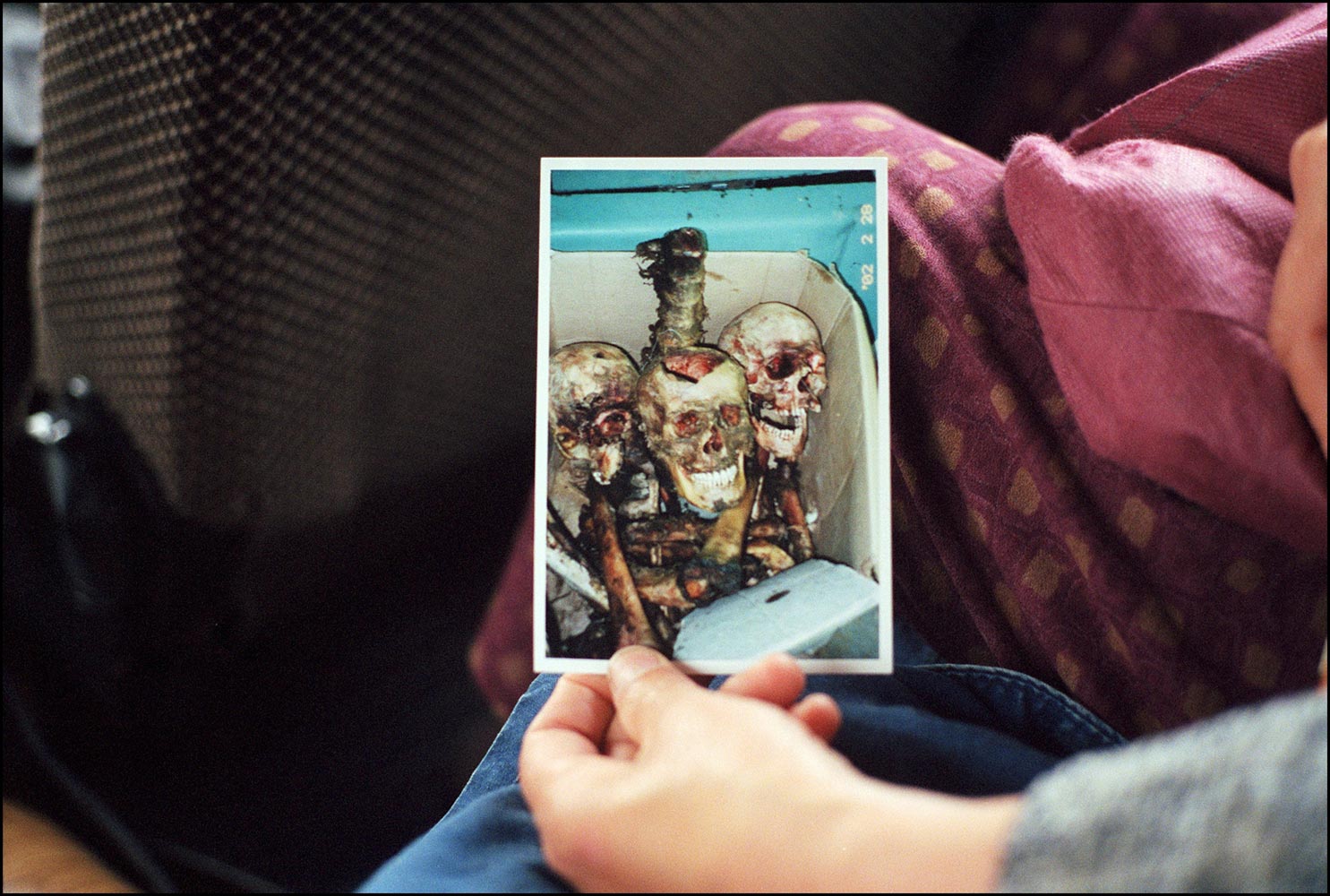 tchetchenie-img32 tchetchenie-img32