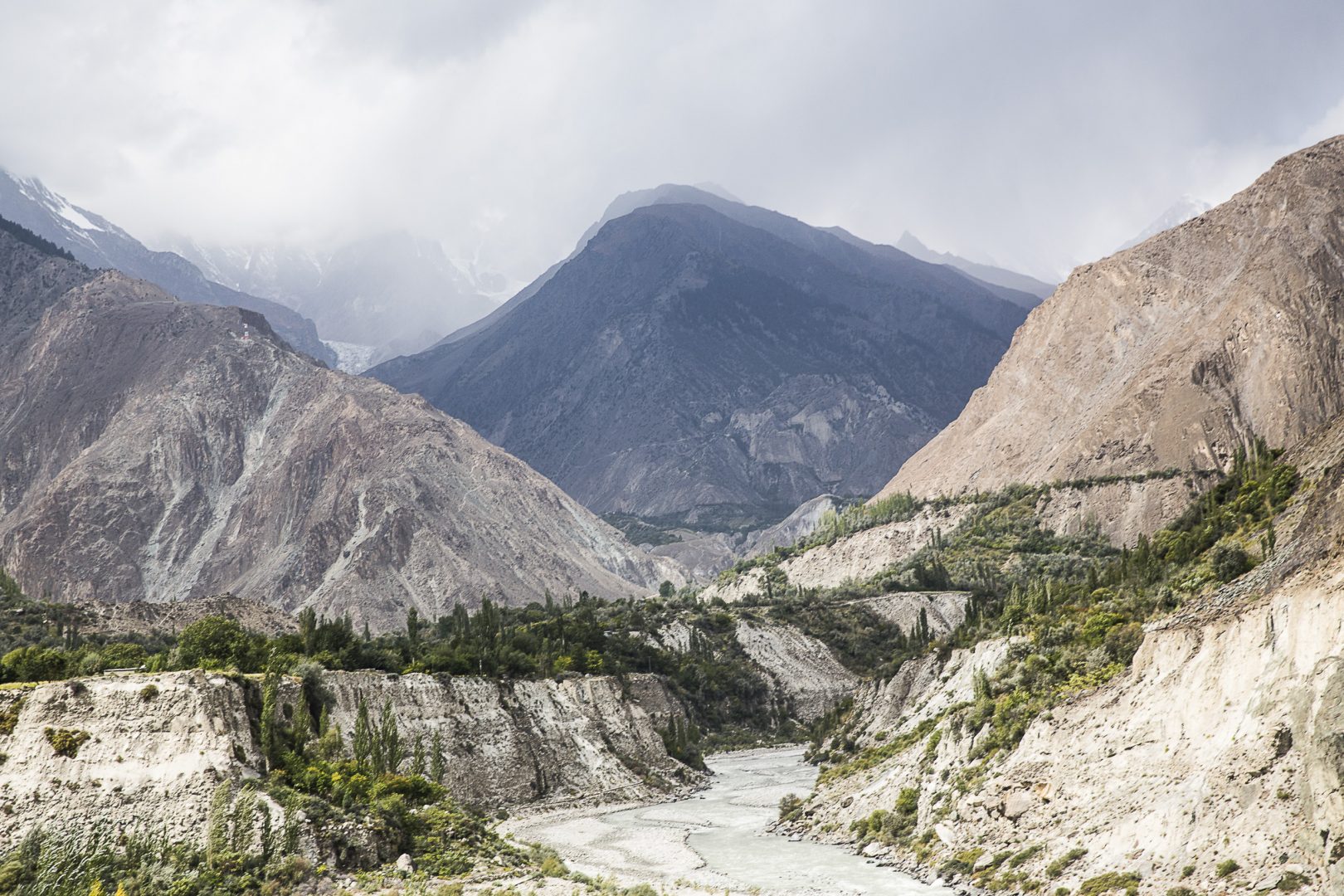 -MGL1003 copie -MGL1003 copie