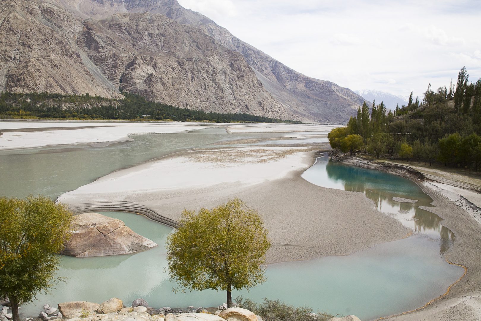 -MGL4380 copie -MGL4380 copie