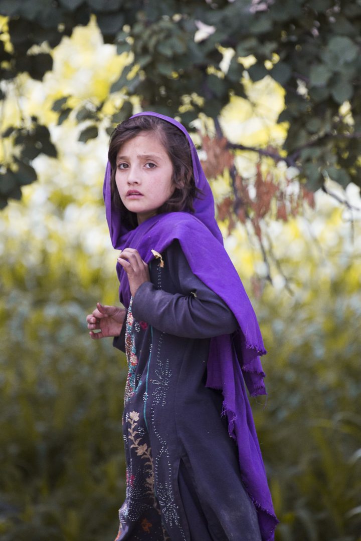 -MGL4453 copie -MGL4453 copie