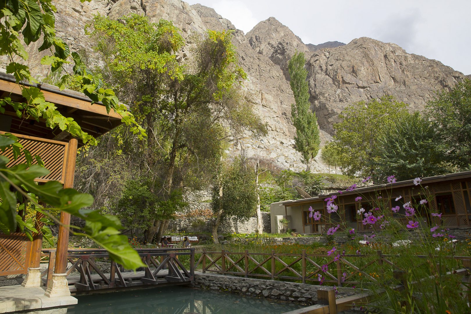 -MGL4937 copie -MGL4937 copie