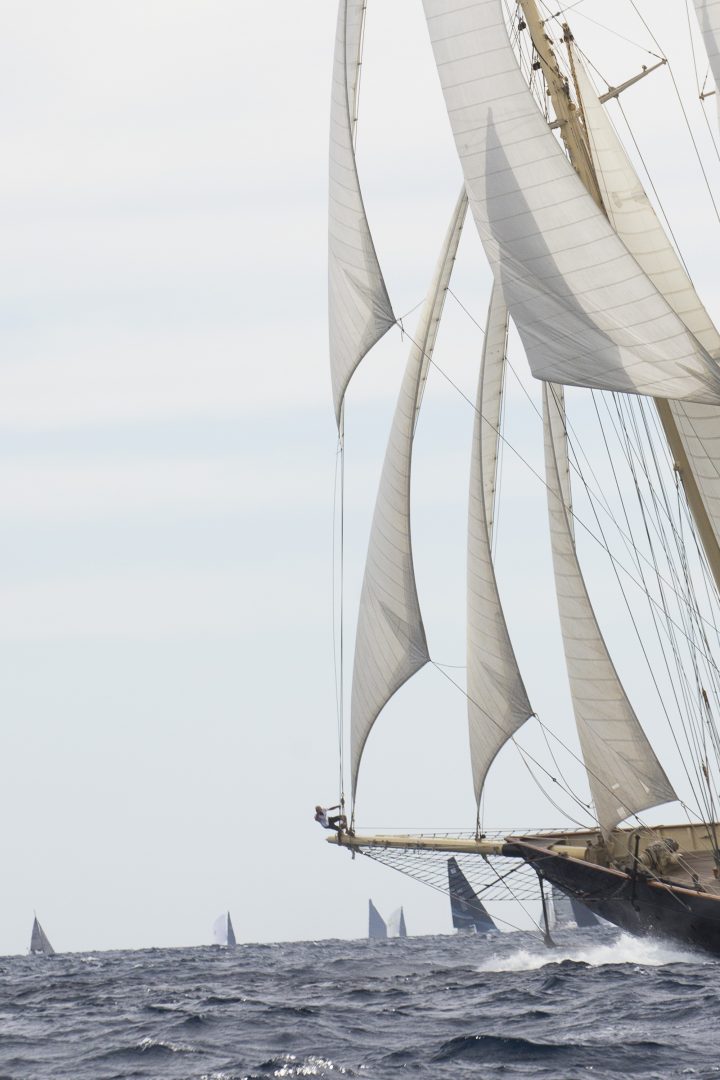 F SPIEKERMEIER-export-261 F SPIEKERMEIER-export-261