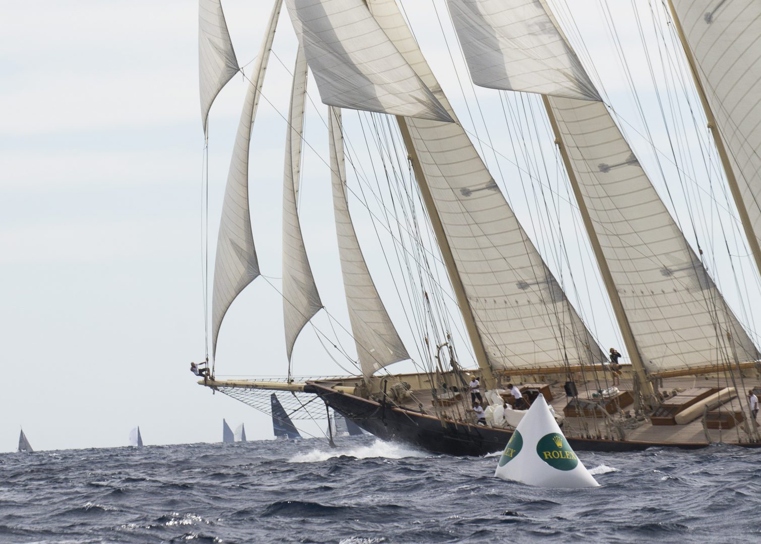 F SPIEKERMEIER-export-262 F SPIEKERMEIER-export-262