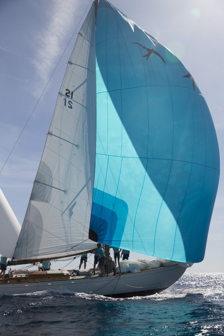 F SPIEKERMEIER-export-336 F SPIEKERMEIER-export-336