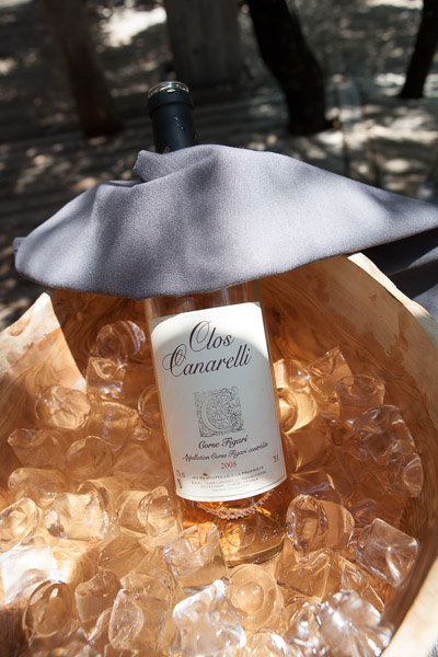 IMG-5824-web IMG-5824-web