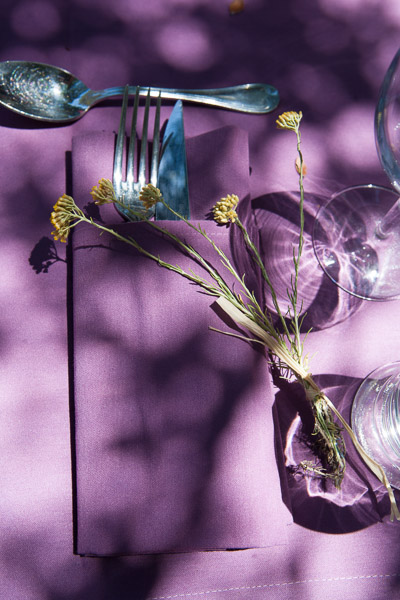 IMG-5829-web IMG-5829-web