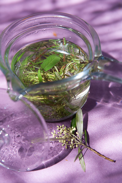 IMG-5906-web IMG-5906-web