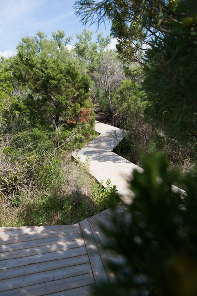 IMG-5951-web IMG-5951-web