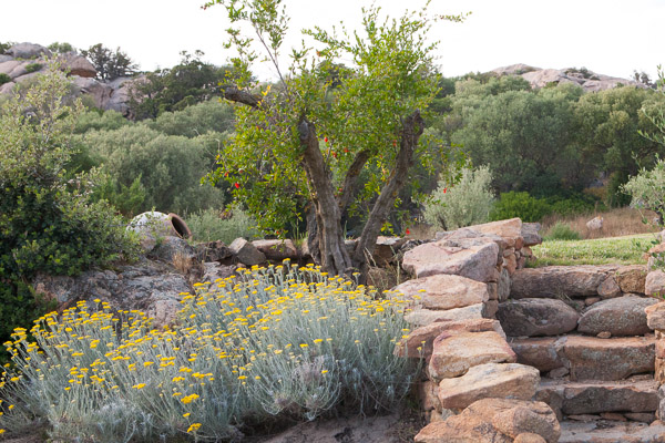 IMG-6151-web IMG-6151-web