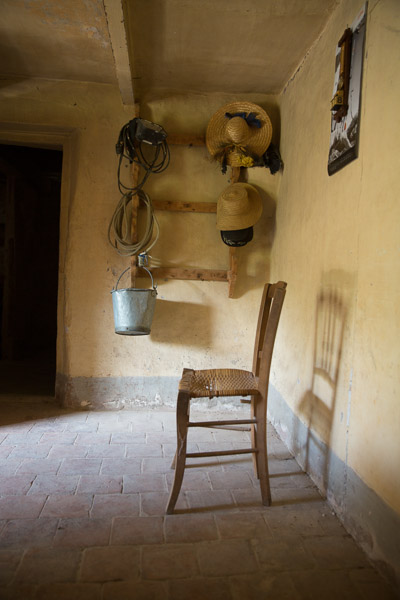 -IB-1286-web -IB-1286-web