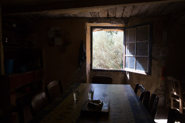 -IB-1292-web -IB-1292-web