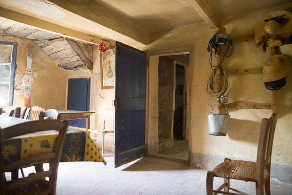 -IB-1295-web -IB-1295-web