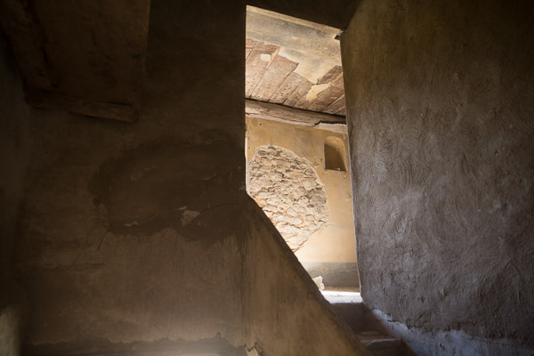 -IB-1317-web -IB-1317-web