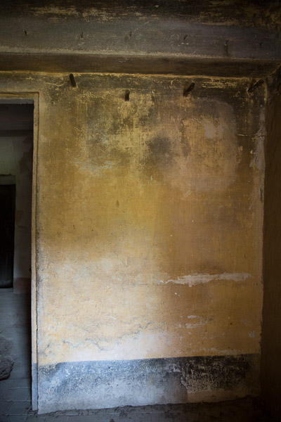 -IB-1389-web -IB-1389-web