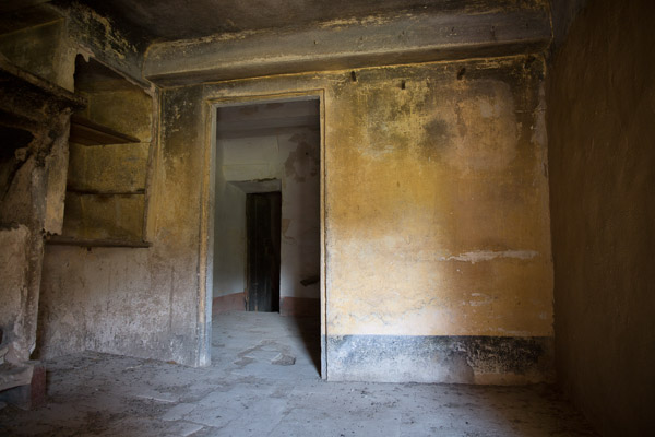 -IB-1401-web -IB-1401-web