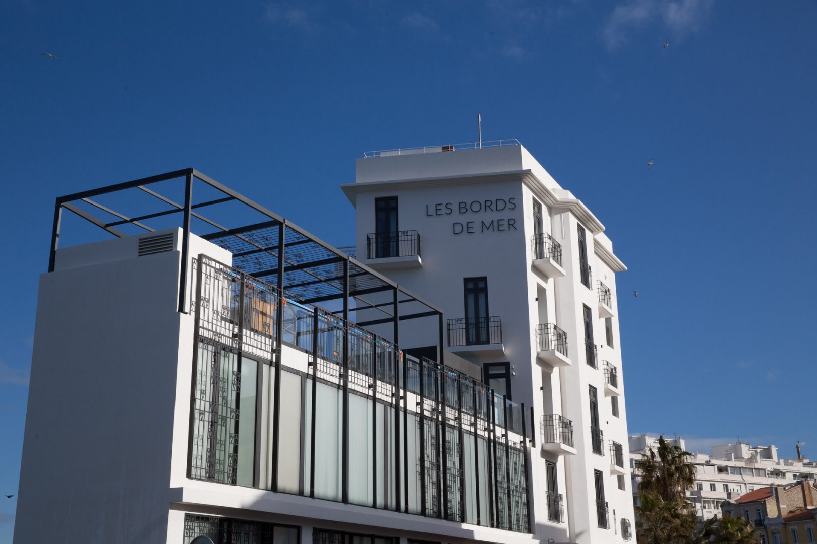 -MGL0597-web -MGL0597-web