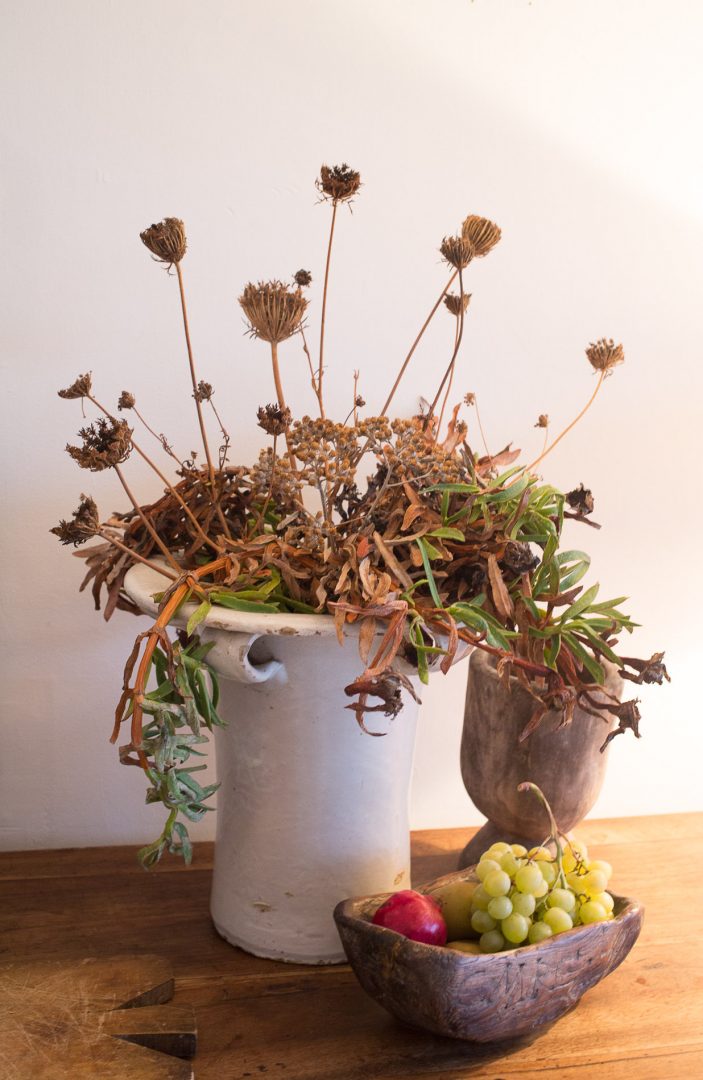 -MGL1437-export-web -MGL1437-export-web