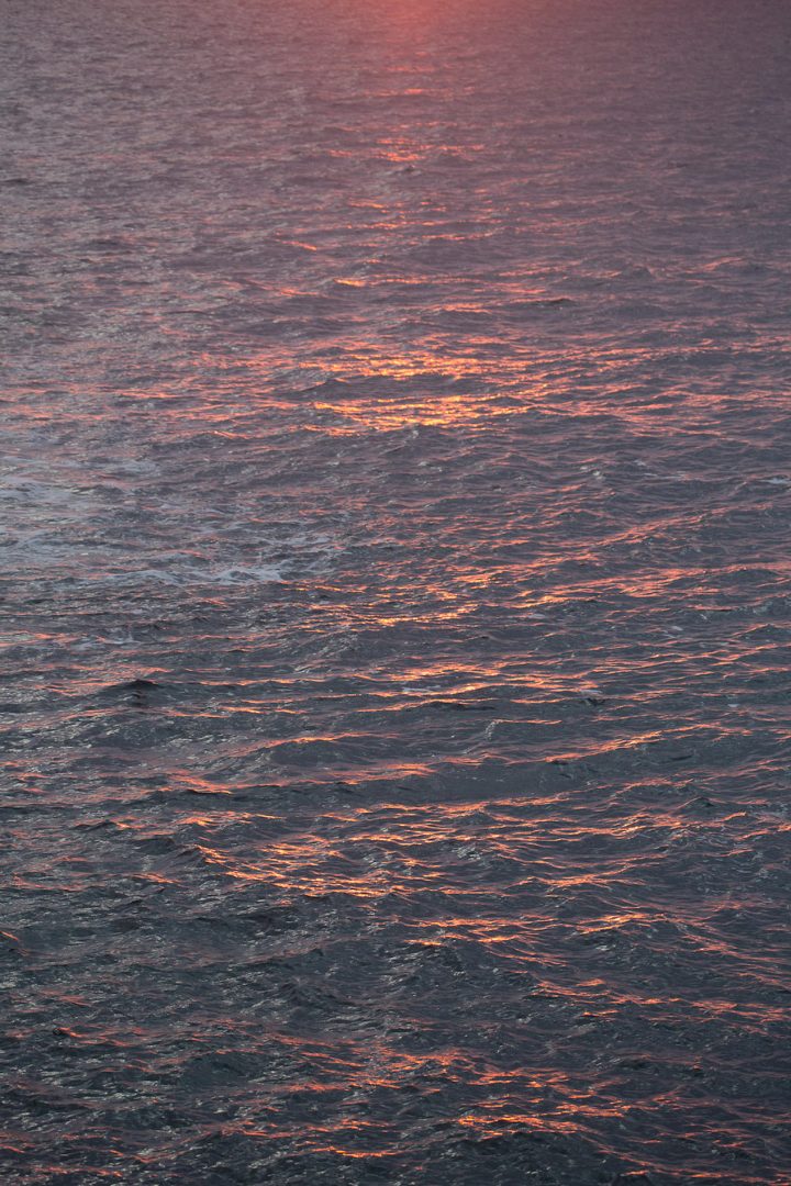 -MGL1655-export-web -MGL1655-export-web