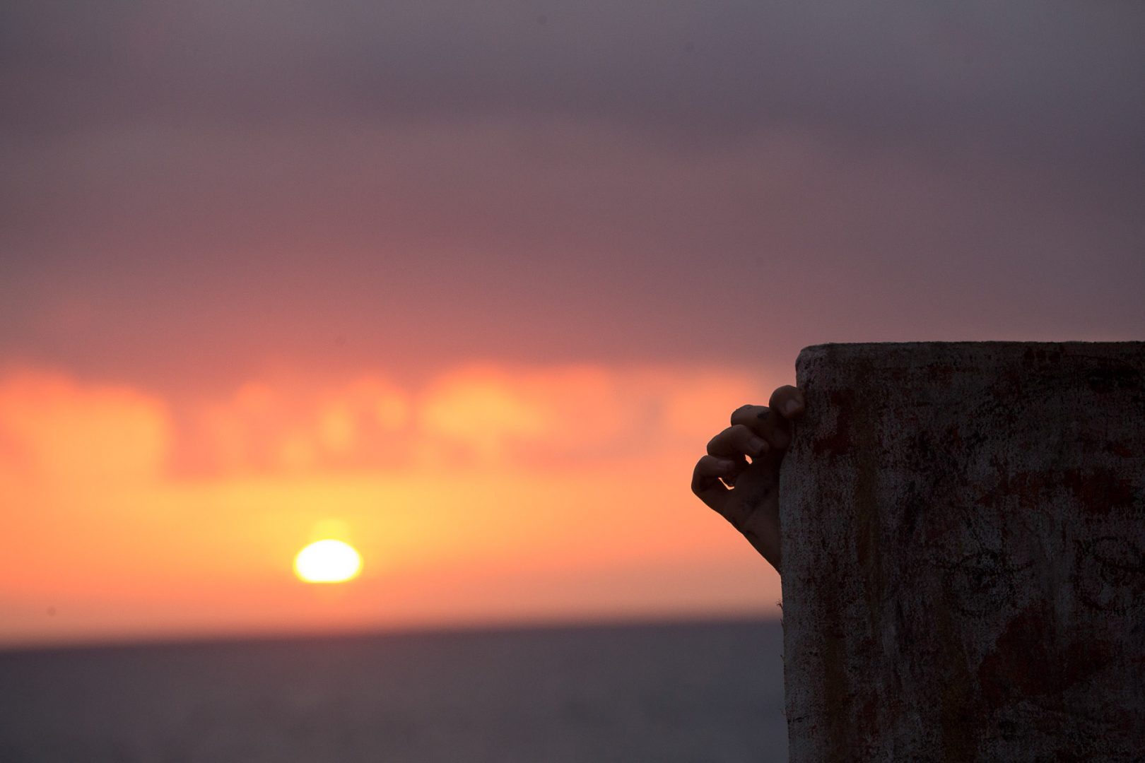 -MGL1661-export-web -MGL1661-export-web