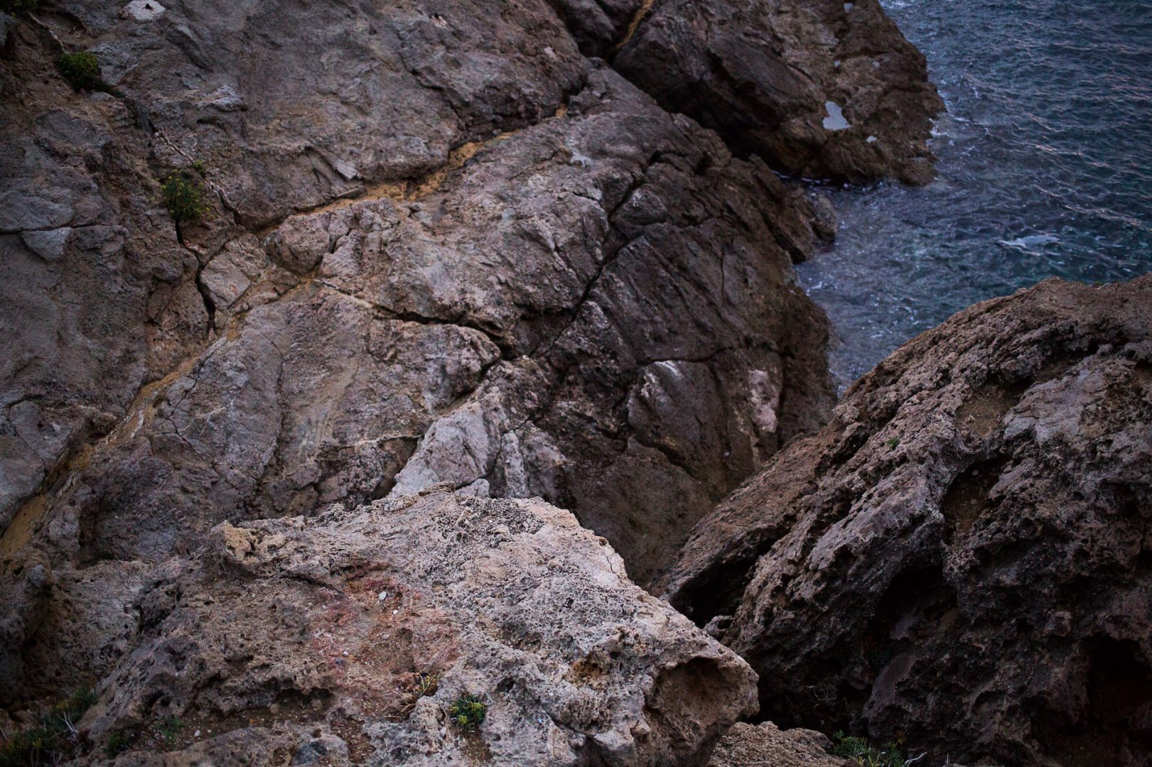 -MGL1737-export-web -MGL1737-export-web