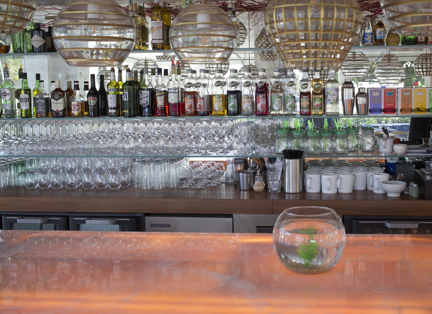 ©F SPIEKERMEIER-HOTEL REINE JANE HYERES-OCT 2017-export A4-MGL2859 ©F SPIEKERMEIER-HOTEL REINE JANE HYERES-OCT 2017-export A4-MGL2859