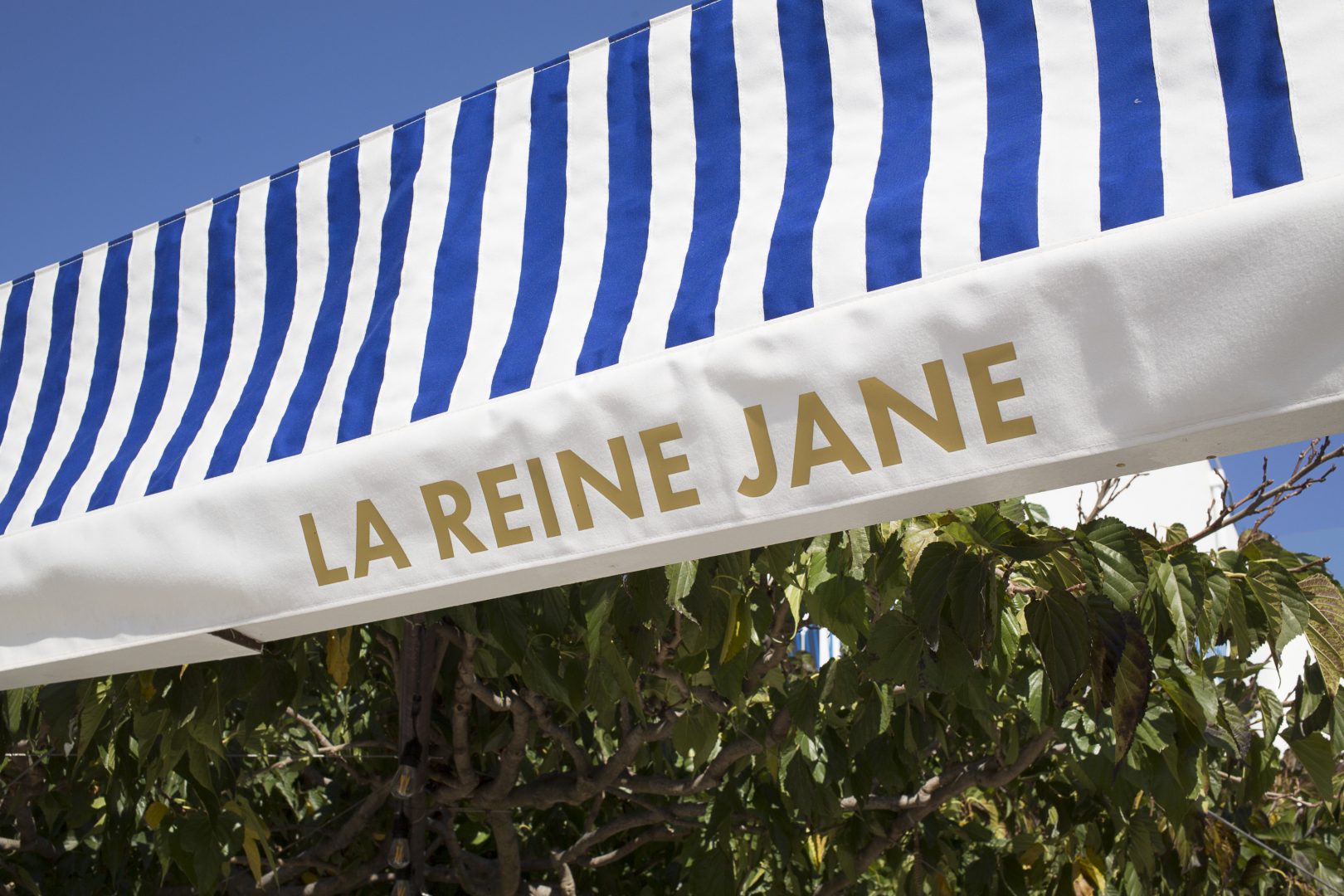 ©F SPIEKERMEIER-HOTEL REINE JANE HYERES-OCT 2017-export A4-MGL2901 ©F SPIEKERMEIER-HOTEL REINE JANE HYERES-OCT 2017-export A4-MGL2901