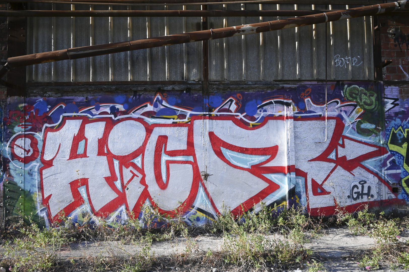 DSC-5172-19 DSC-5172-19