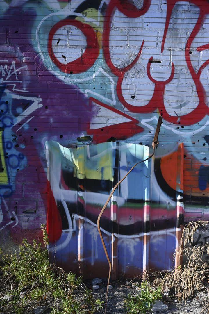 DSC-5174-18 DSC-5174-18